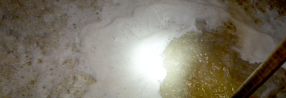 El tiempo de fermentación